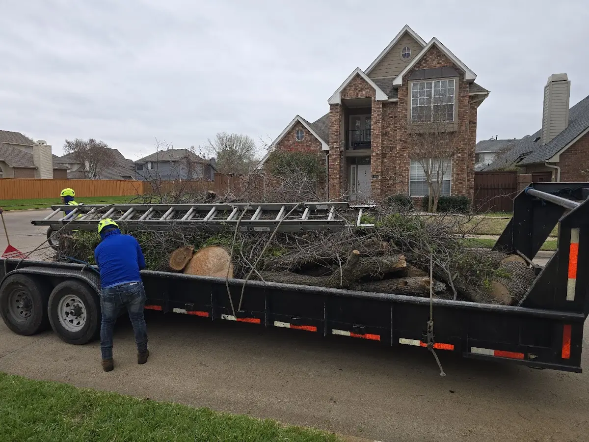 Expert Tree Fertilization with proper safety equipment in Lane
